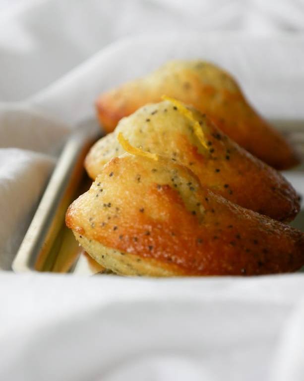Madeleines au citron et aux graines de pavot